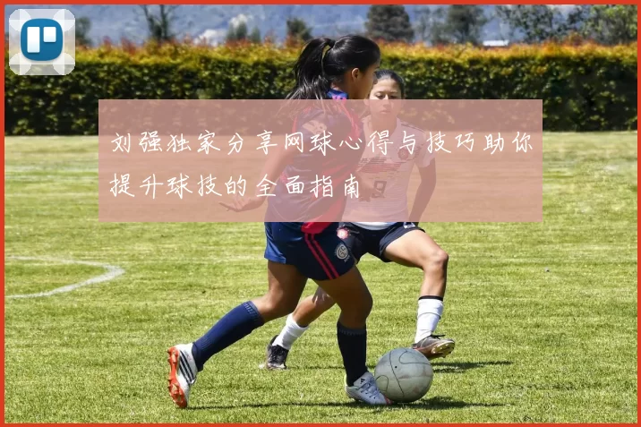 刘强独家分享网球心得与技巧助你提升球技的全面指南