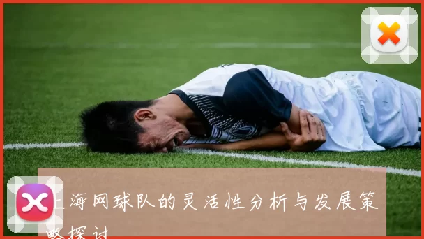 上海网球队的灵活性分析与发展策略探讨