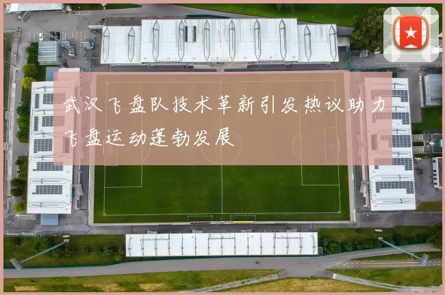 武汉飞盘队技术革新引发热议助力飞盘运动蓬勃发展