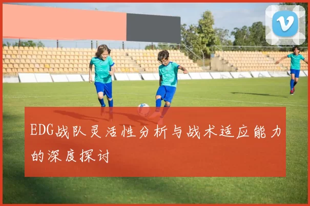 EDG战队灵活性分析与战术适应能力的深度探讨