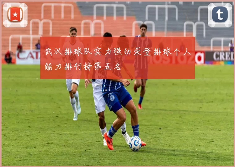 武汉排球队实力强劲荣登排球个人能力排行榜第五名
