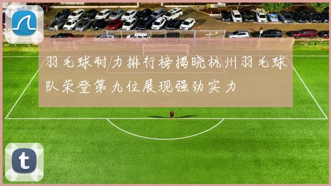 羽毛球耐力排行榜揭晓杭州羽毛球队荣登第九位展现强劲实力
