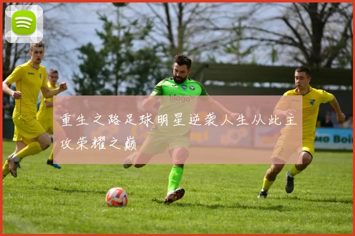 重生之路足球明星逆袭人生从此主攻荣耀之巅