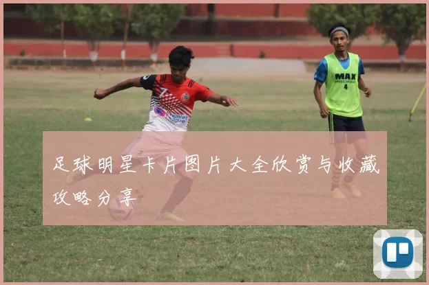 足球明星卡片图片大全欣赏与收藏攻略分享