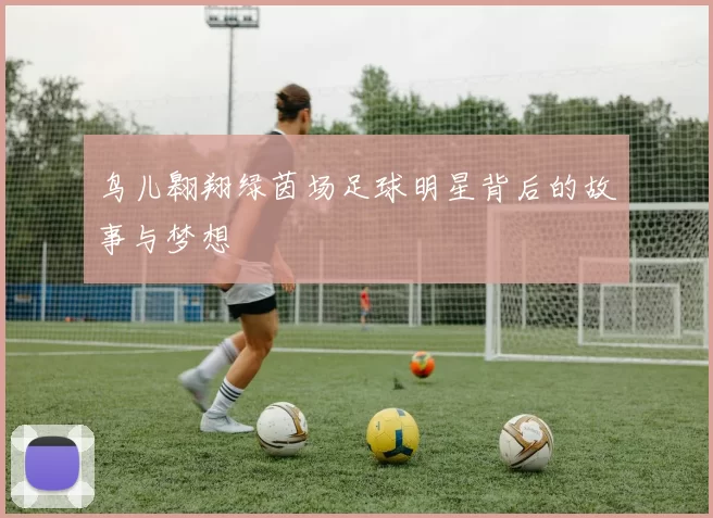 鸟儿翱翔绿茵场足球明星背后的故事与梦想