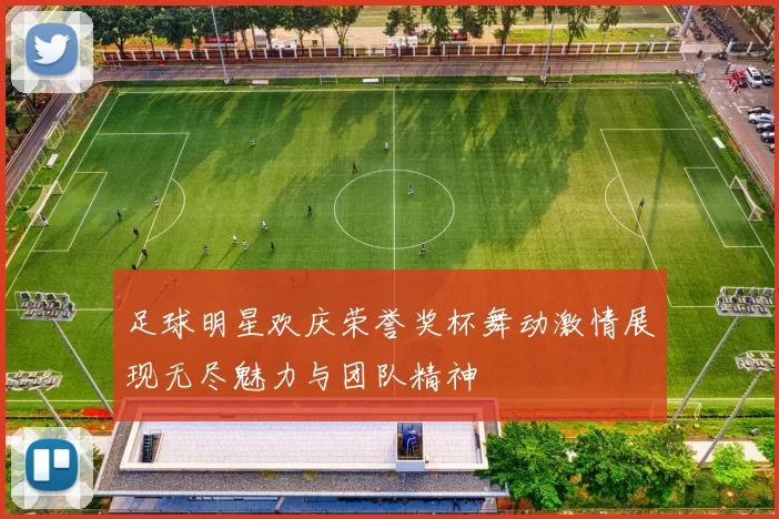 足球明星欢庆荣誉奖杯舞动激情展现无尽魅力与团队精神