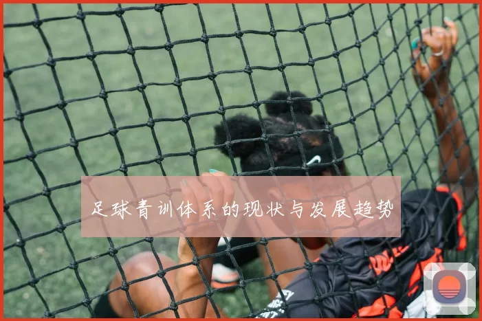 足球青训体系的现状与发展趋势