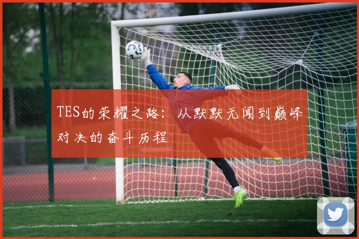 TES的荣耀之路：从默默无闻到巅峰对决的奋斗历程