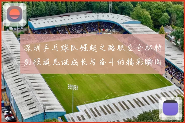 深圳乒乓球队崛起之路联合会杯特别报道见证成长与奋斗的精彩瞬间