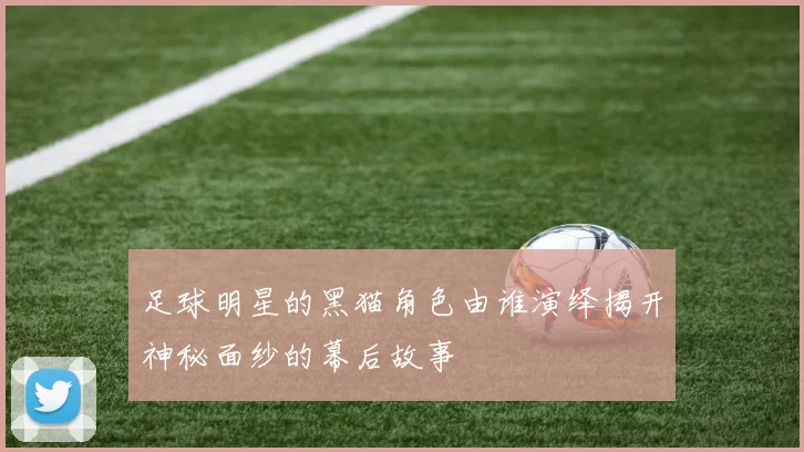 足球明星的黑猫角色由谁演绎揭开神秘面纱的幕后故事
