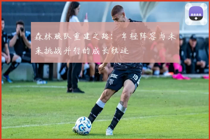 森林狼队重建之路：年轻阵容与未来挑战并行的成长轨迹
