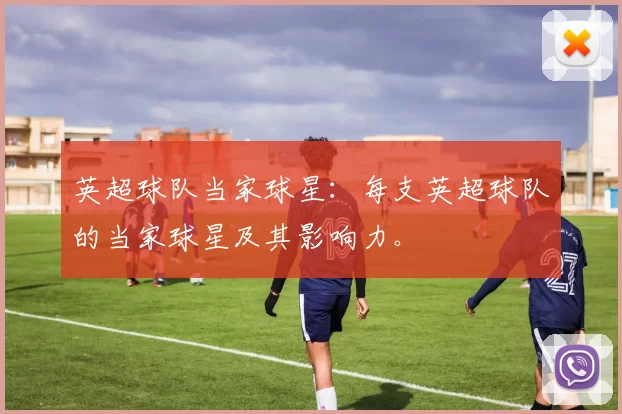 英超球队当家球星：每支英超球队的当家球星及其影响力。