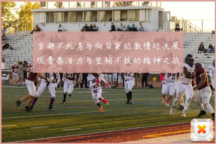 京都不死鸟与向日葵的激情对决展现青春活力与坚韧不拔的精神之战