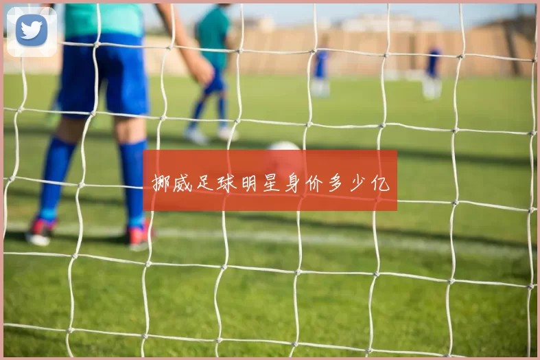 挪威足球明星身价多少亿