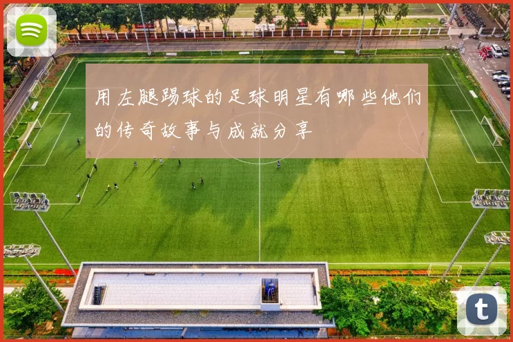 用左腿踢球的足球明星有哪些他们的传奇故事与成就分享
