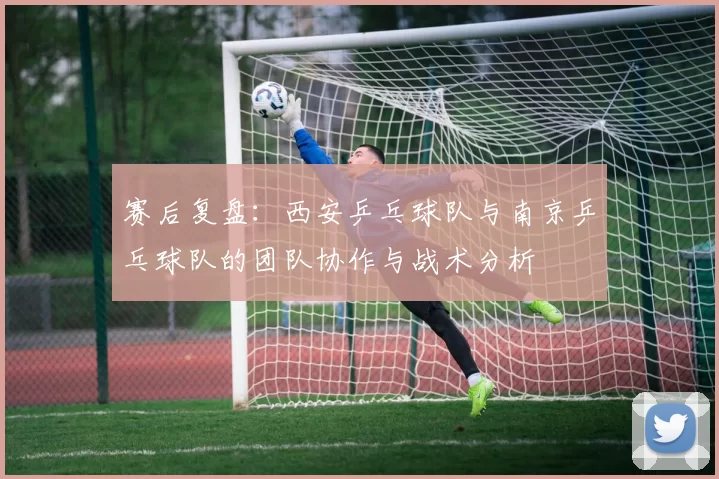 赛后复盘：西安乒乓球队与南京乒乓球队的团队协作与战术分析