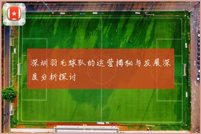 深圳羽毛球队的运营揭秘与发展深度分析探讨