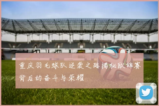 重庆羽毛球队逆袭之路揭秘欧锦赛背后的奋斗与荣耀
