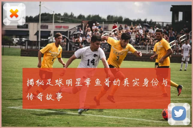 揭秘足球明星章鱼哥的真实身份与传奇故事
