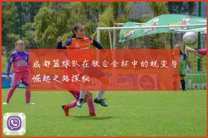 成都篮球队在联合会杯中的蜕变与崛起之路探秘