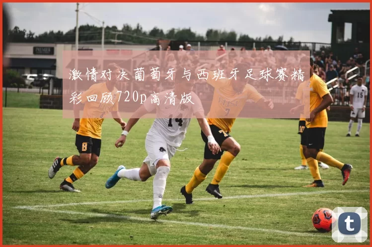 激情对决葡萄牙与西班牙足球赛精彩回顾720p高清版