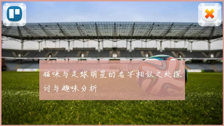 猫咪与足球明星的名字相似之处探讨与趣味分析
